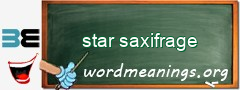 WordMeaning blackboard for star saxifrage